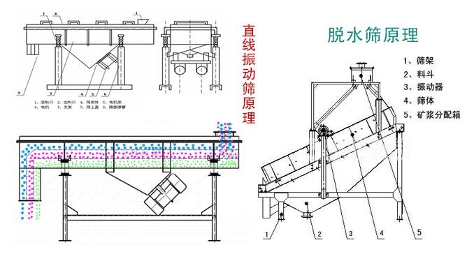 脱水筛和直线振动筛有啥不同